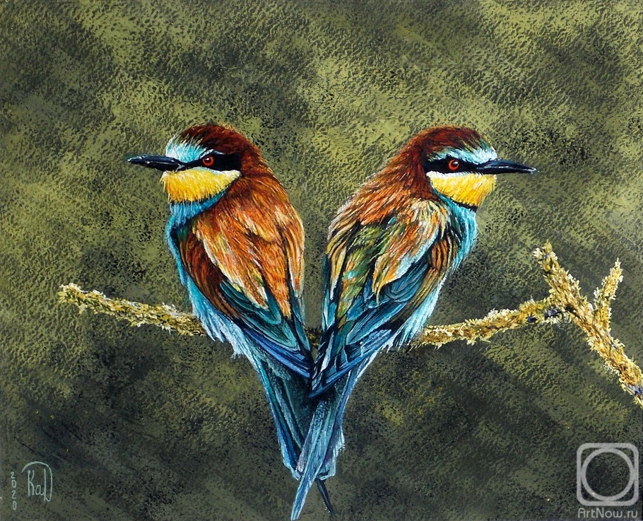 Kabylina Darya. A pair of golden bee-eaters