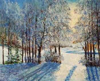 Frost and sun (Sparkling Snow). Konturiev Vaycheslav