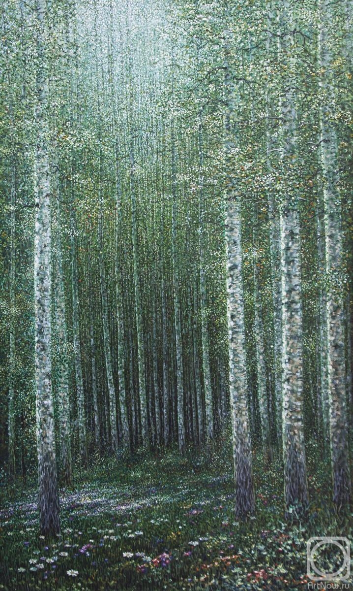 Kurchinskiy Vladimir. Birch grove