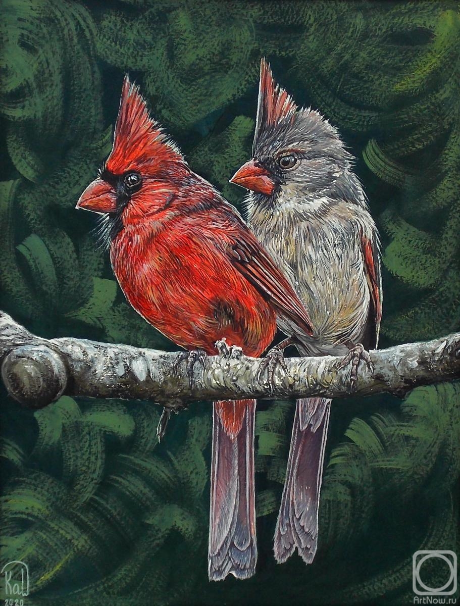 Kabylina Darya. The Cardinals