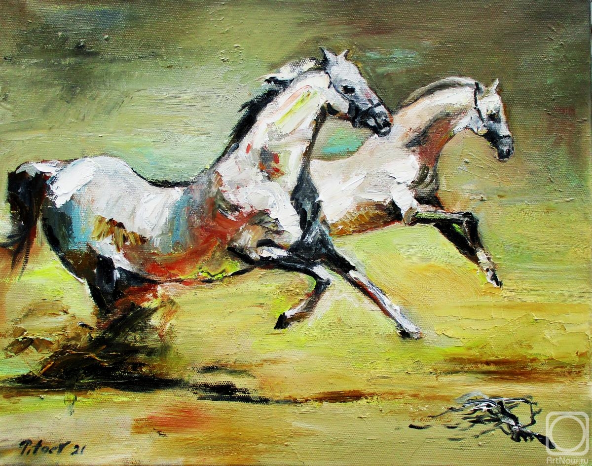 Pitaev Valery. Oh, you horses, my horses