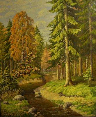 Spruce forest. Fadin Dmitriy
