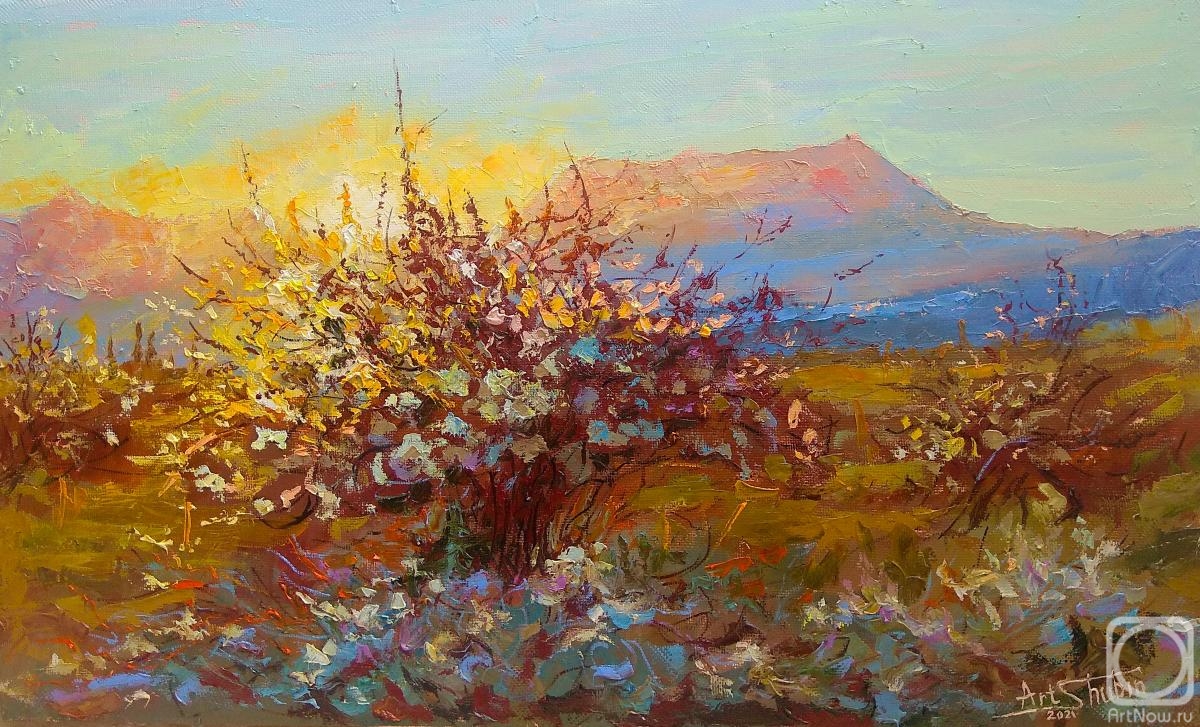 Shubin Artyom. The evening words of the brightest star