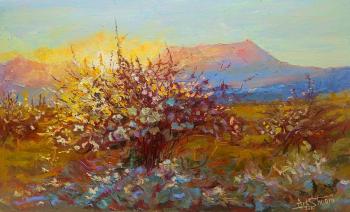 The evening words of the brightest star