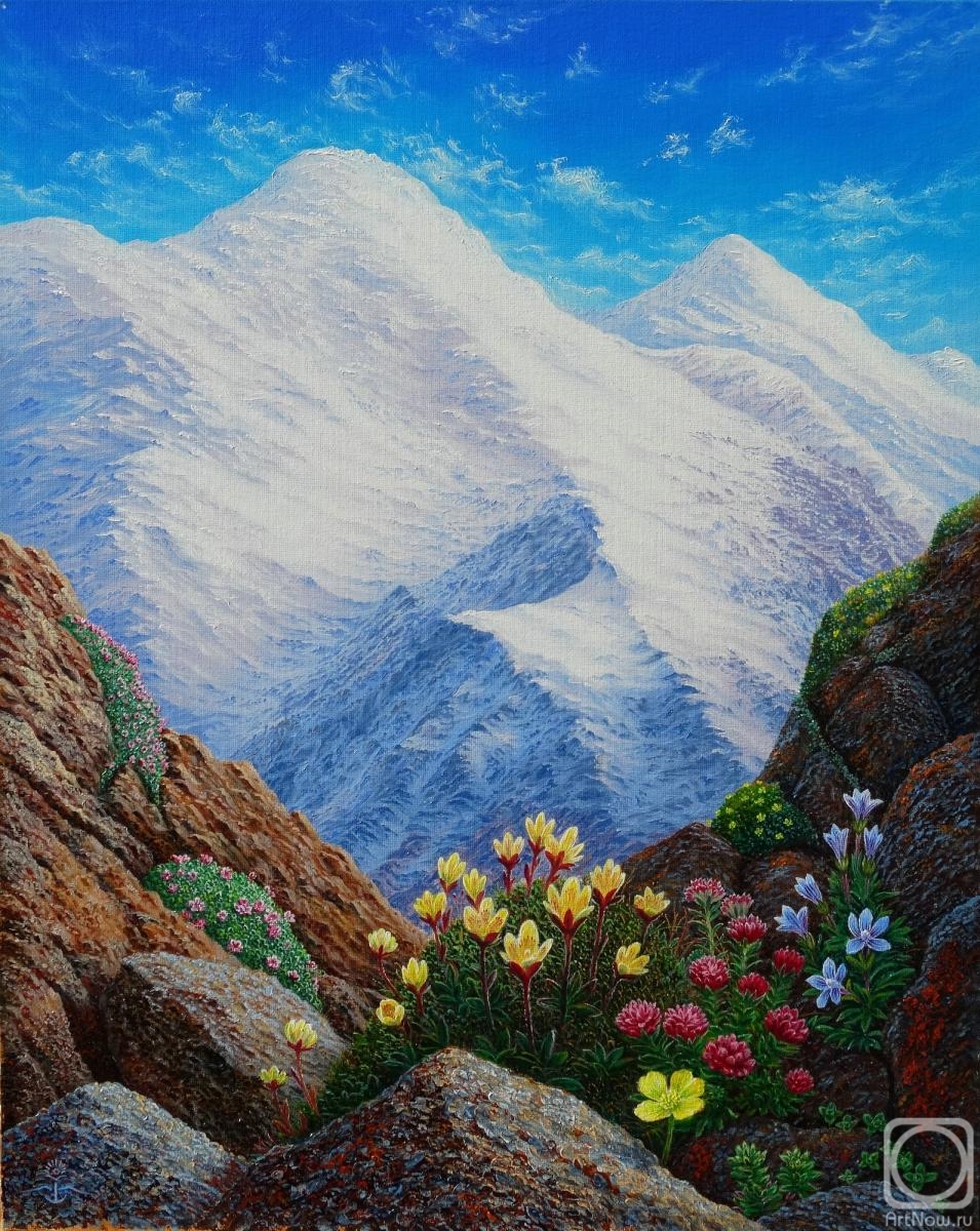 �������. ���������� ��������. �� ���������� ������