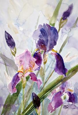 Irises. Tarasova Irena