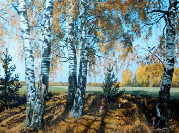 Birch trees on the slope