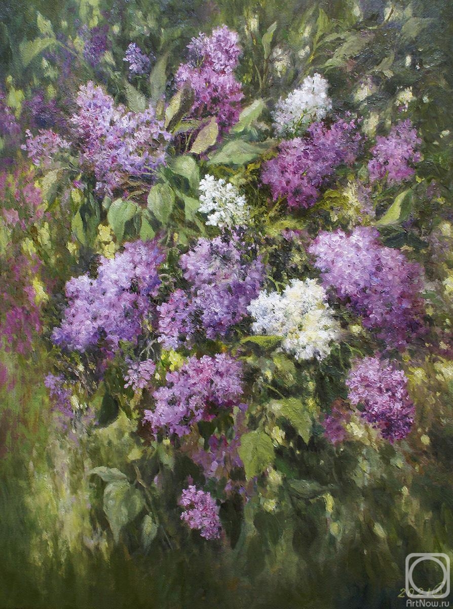 Dorofeev Sergey. Clusters of lilac