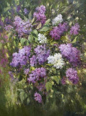 Clusters of lilac. Dorofeev Sergey