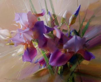 Irises. Gappasov Ramil