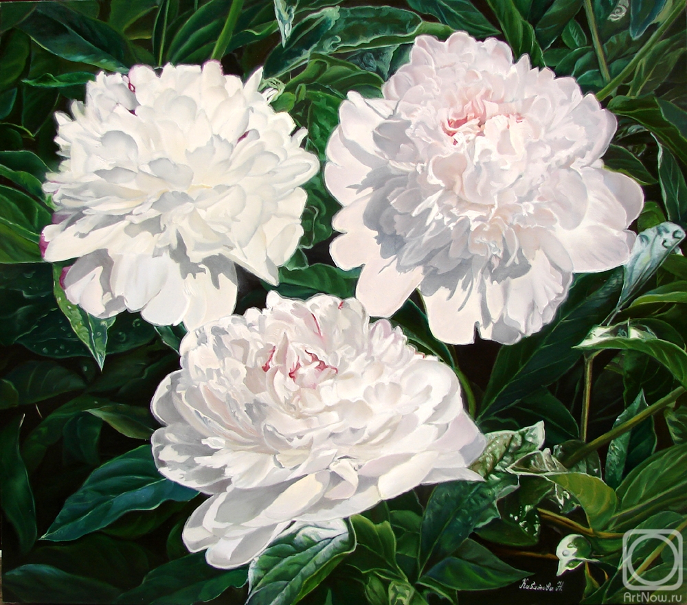 ������� ������ �� ������. �������� �������. ��� �����