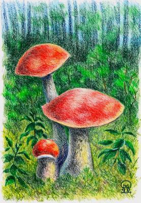 Aspen mushrooms (). Lukaneva Larissa