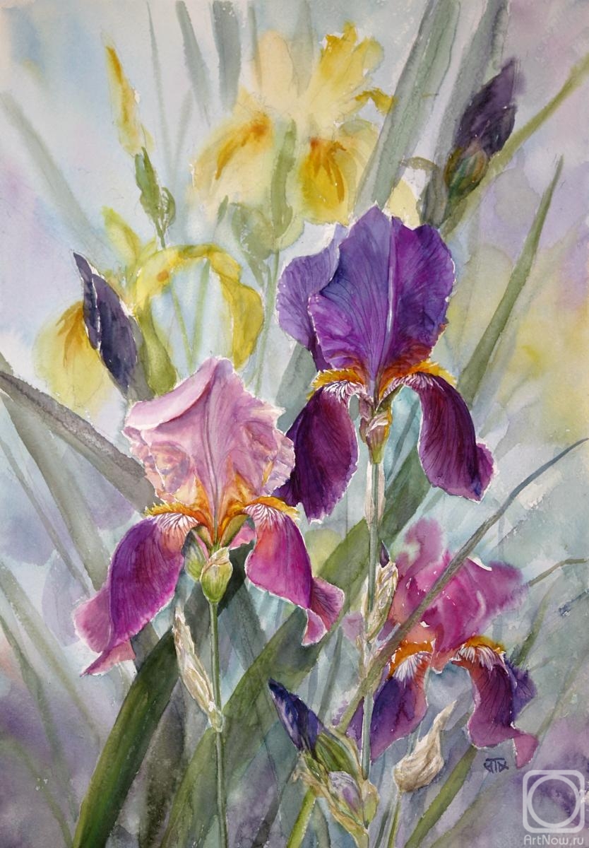 �������. �������� �����. �����