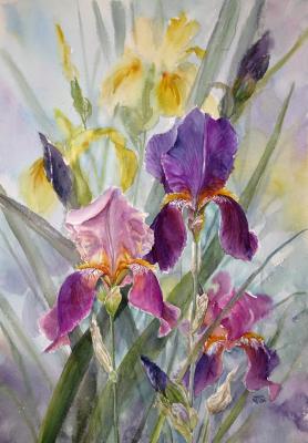 Irises. Tarasova Irena
