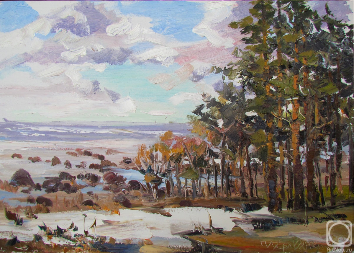 Krivenko Peter. Pines on the shore. Baltika
