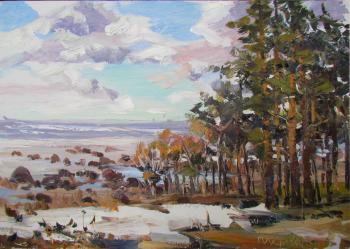 Pines on the shore. Baltika. Krivenko Peter