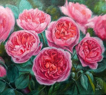 English rose Boscobel