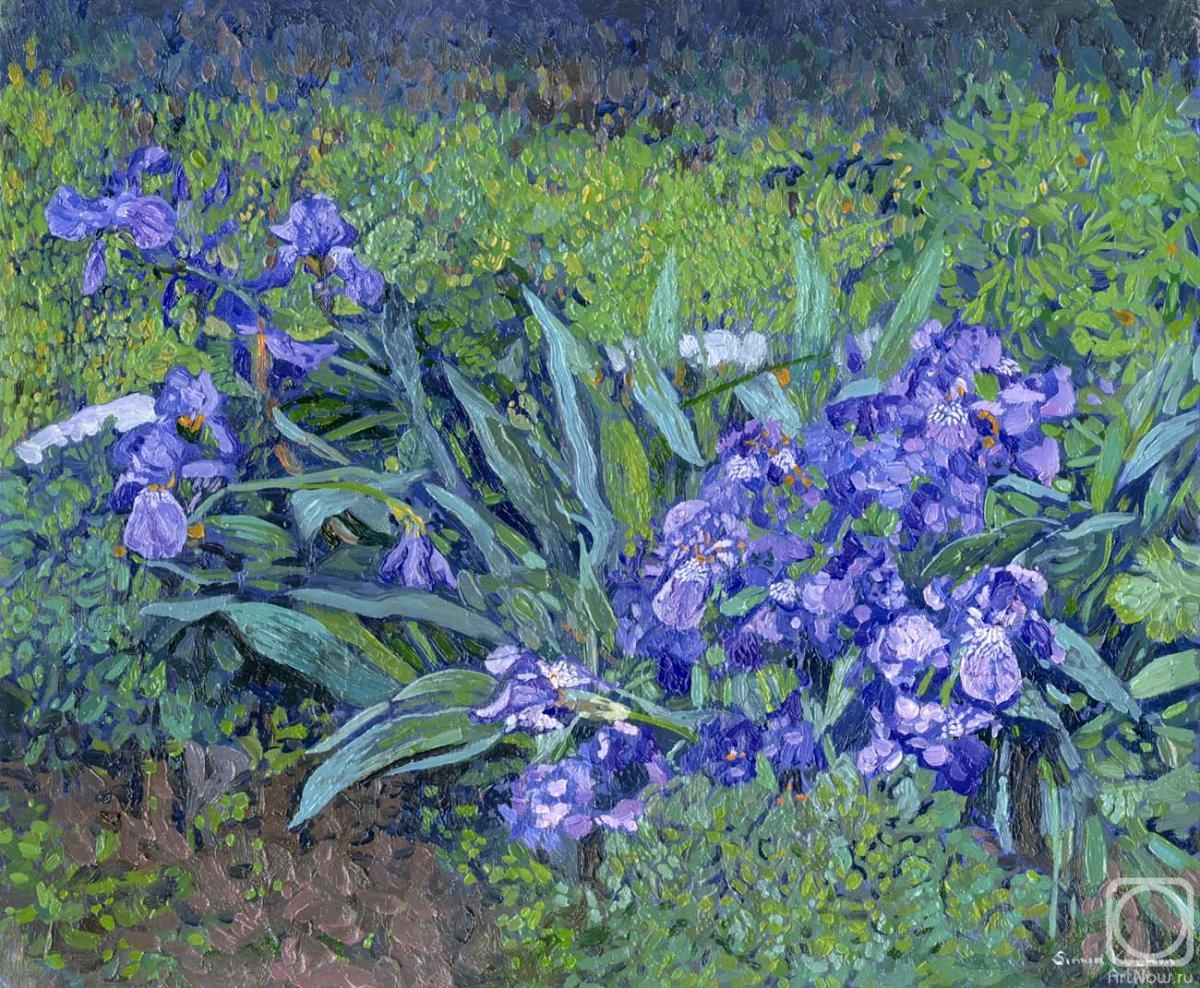 �������. ����� ����. �����