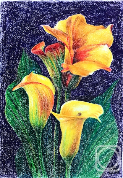 �������. �������� ������. ������ �����