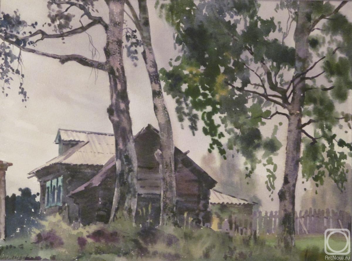 Lapovok Vladimir. Shchelykovo. Old birch trees