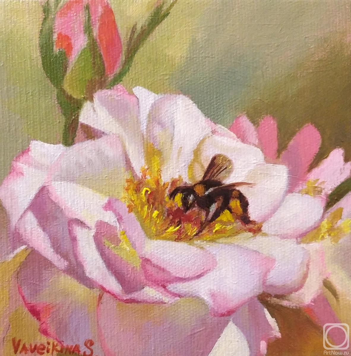 Vaveykina Svetlana. Garden rose and bee