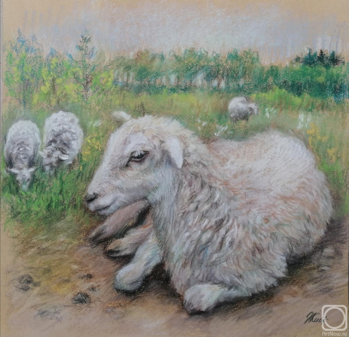 Kistanova Nadezhda. The Lamb thought about her own, about the eternal