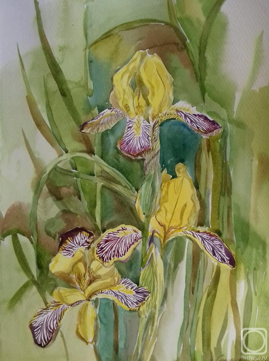 Snitsar Elena. Yellow irises