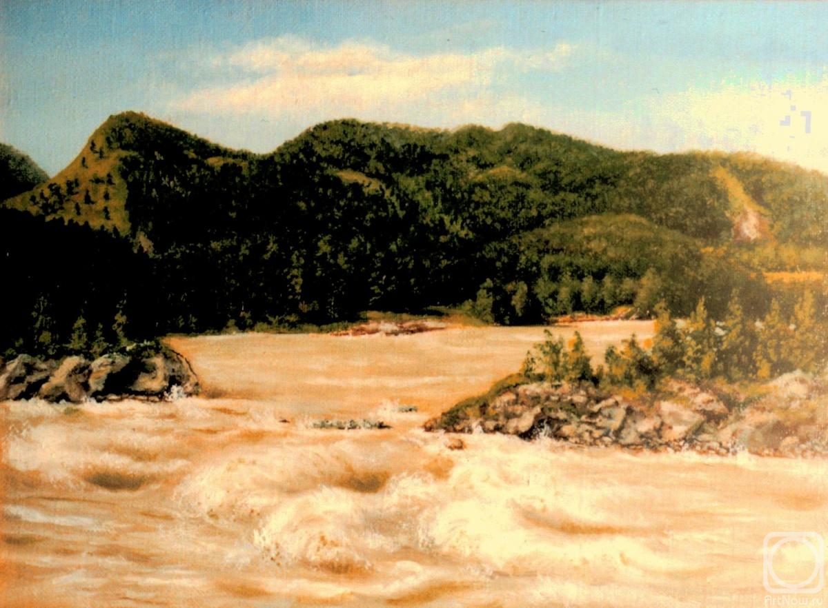 Abaimov Vladimir. Mountain Altai. The Manzherok Rapids