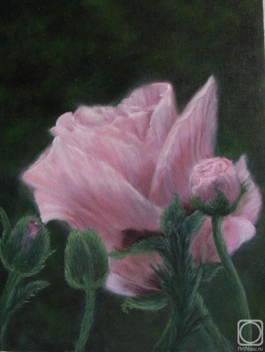 �������. ������ �������. ������� ����