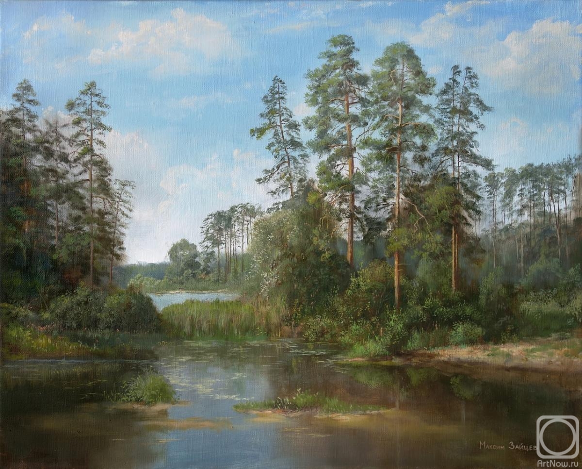 Zaytsev Maksim. Pine trees by the lake