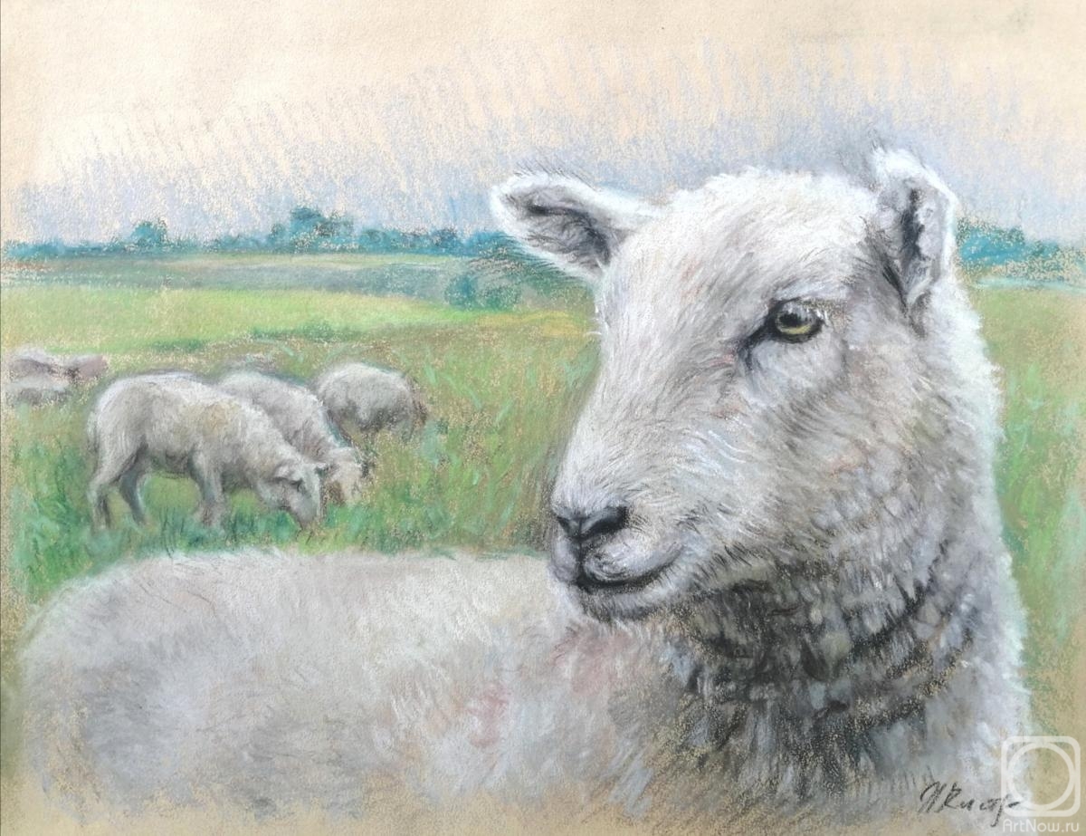 �������. ��������� �������. ������� ������������