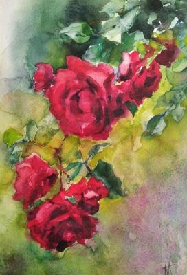 Roses (Watercolor Roses). Gololobov Michael