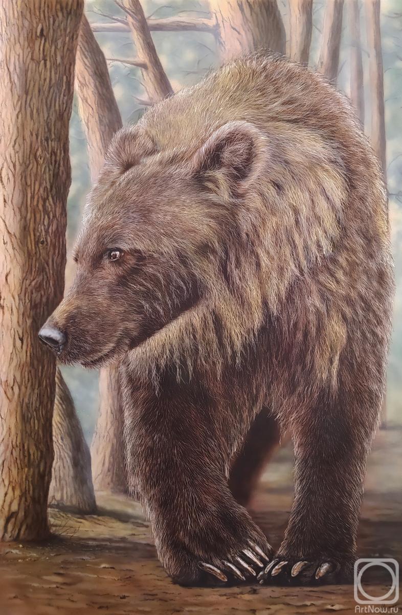 Litvinov Andrew. Bear