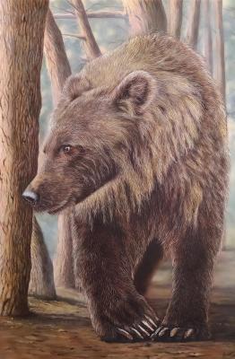 Bear. Litvinov Andrew