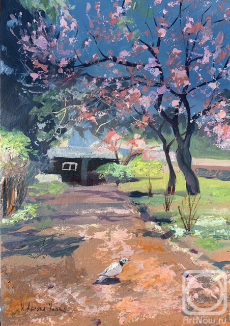 Ageeva-Usova Irina. Cherry blossom