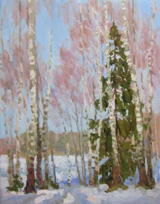 Early April at the Forest lake. Chertov Sergey
