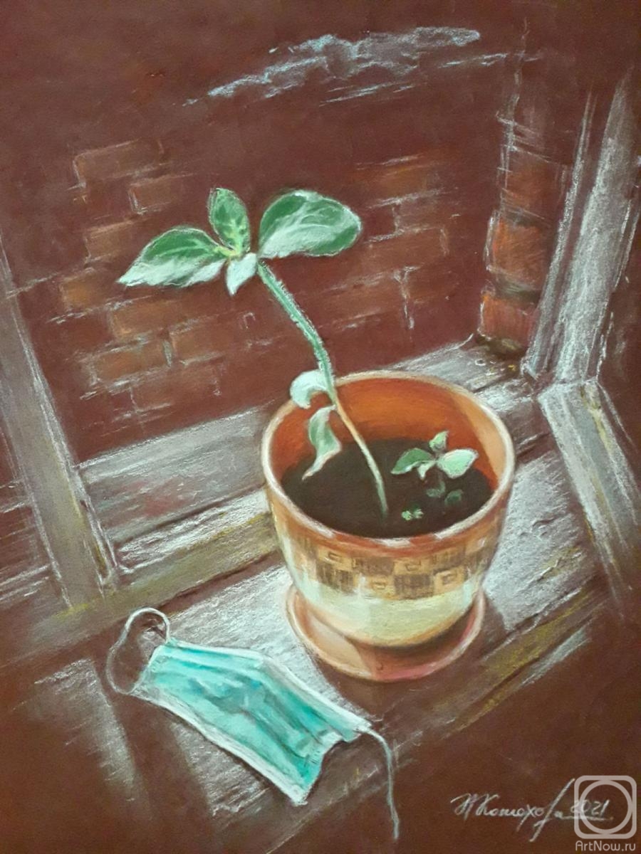 �������. �������� �������. �����