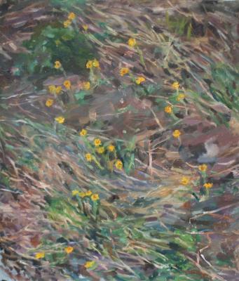 ����-������. ������ ��������