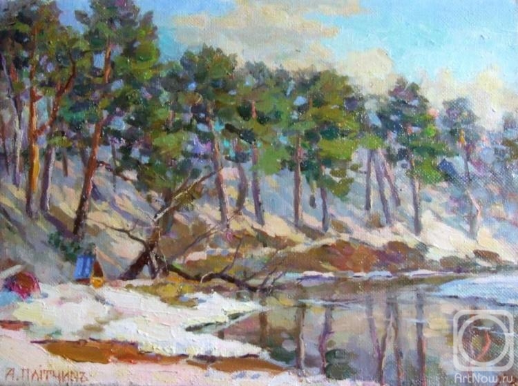 Plitchin Andrei. Live, spring