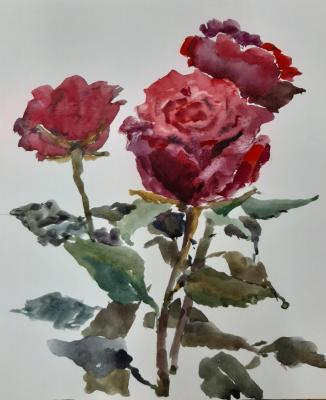 Roses. Mustafina-Khazieva Lilia