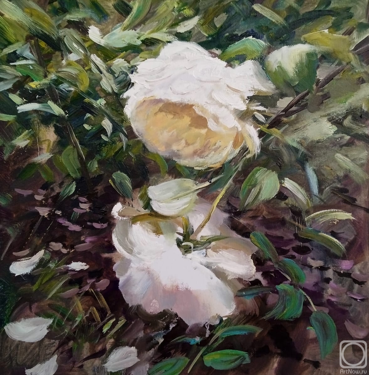 Korolev Andrey. English roses