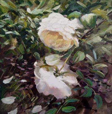 English roses. Korolev Andrey