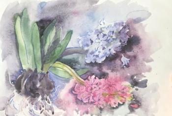 Hyacinths. Kurnosenko Antonina