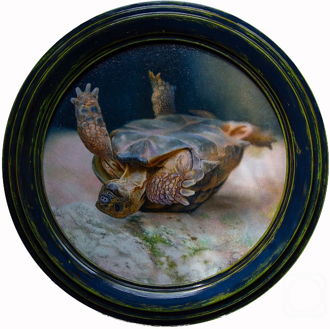 Kozlov Peter. Turtle