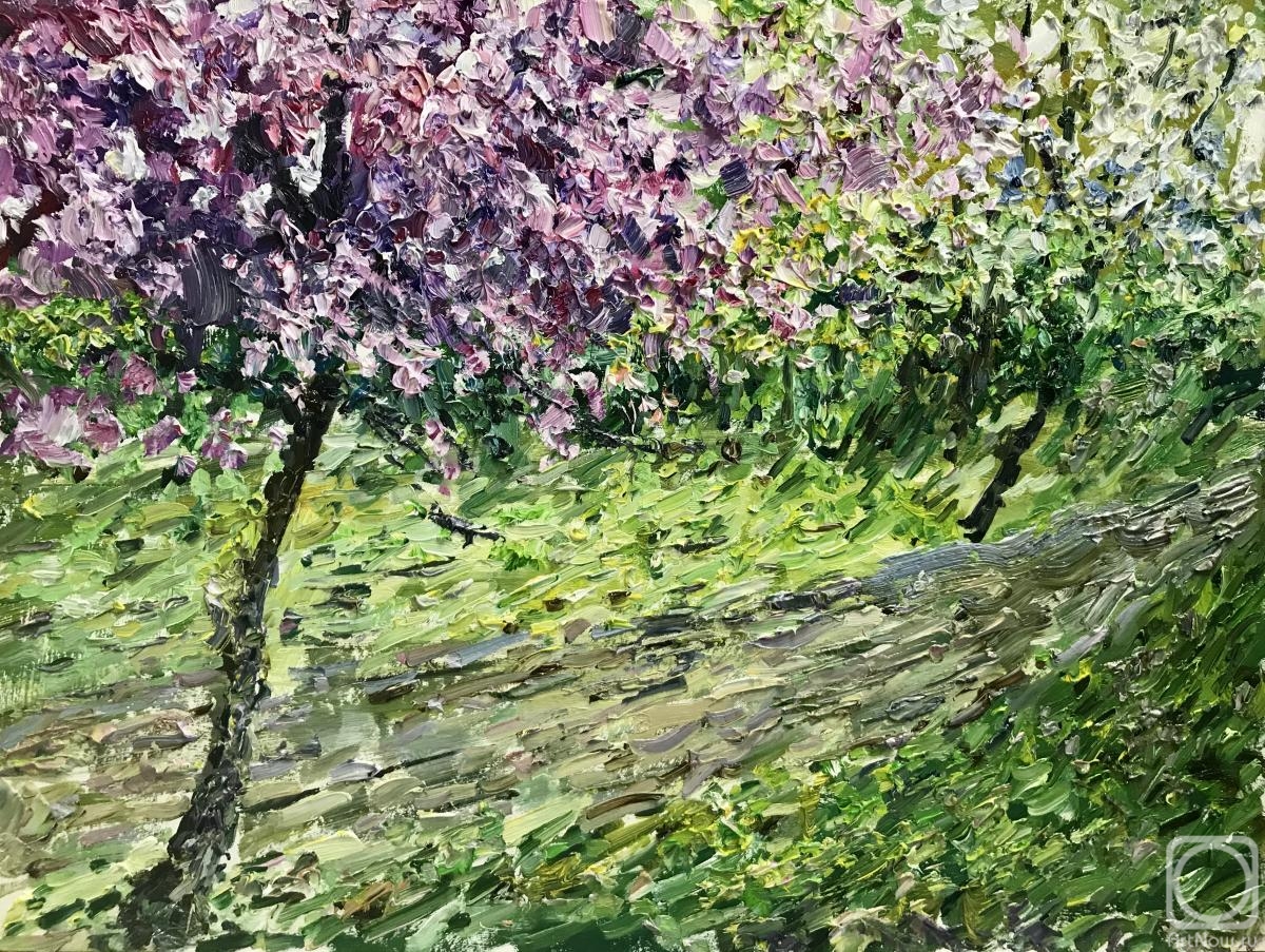 Voloshin Nikita. Apple blossom