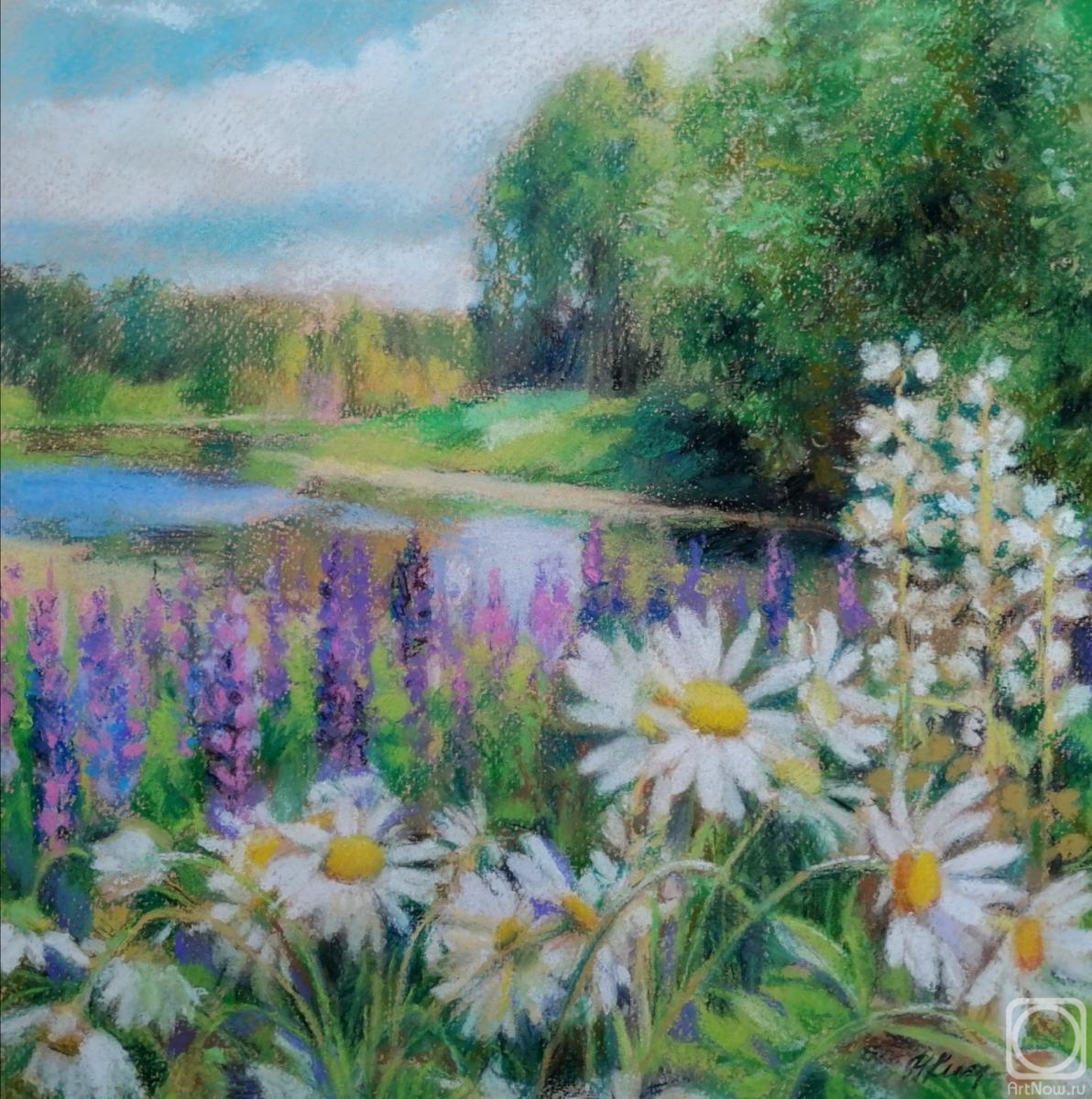 Kistanova Nadezhda. Landscape with daisies