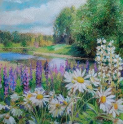 Landscape with daisies