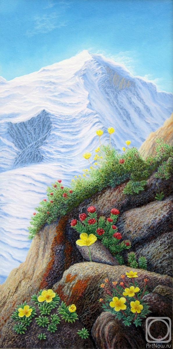 �������. ���������� ��������. ����������� �����