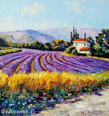 Lavender fields of Provence. Fedosenko Roman