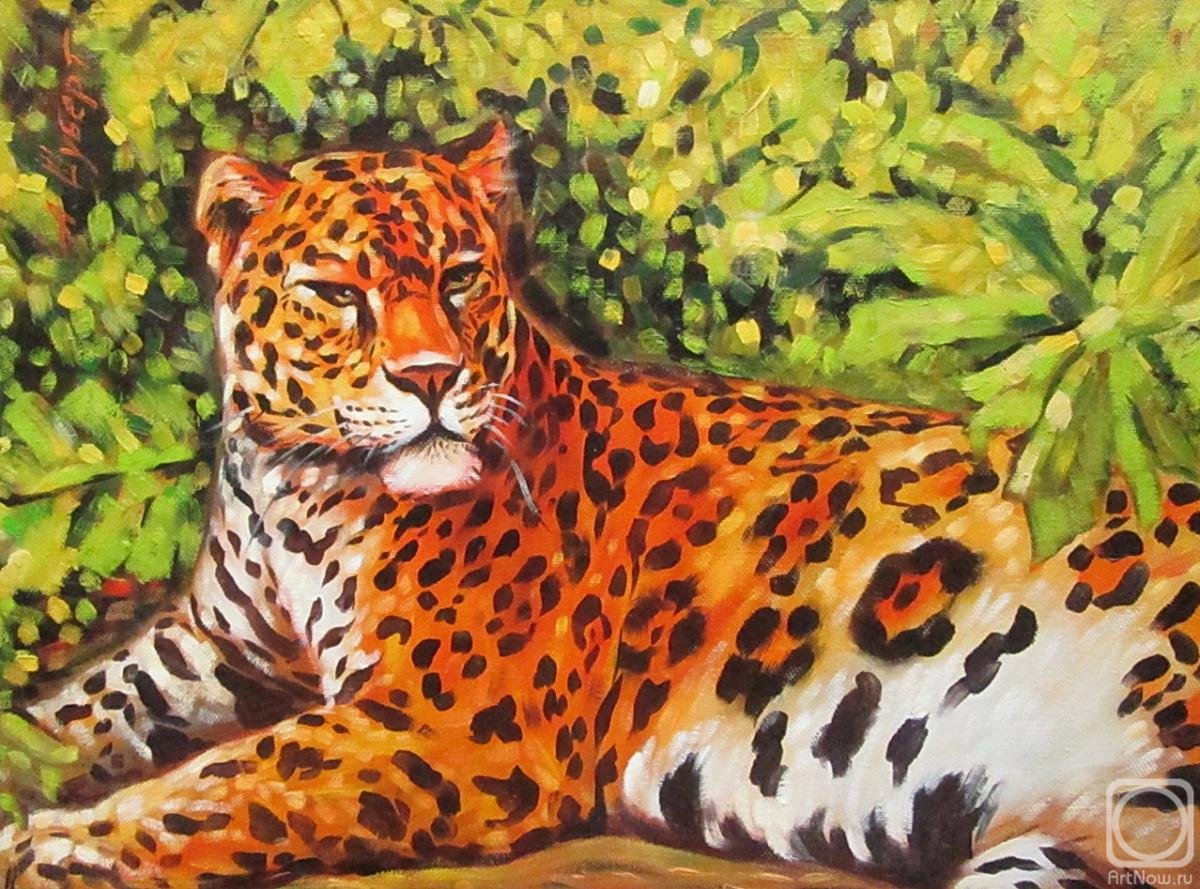 Schubert Albina. Leopard